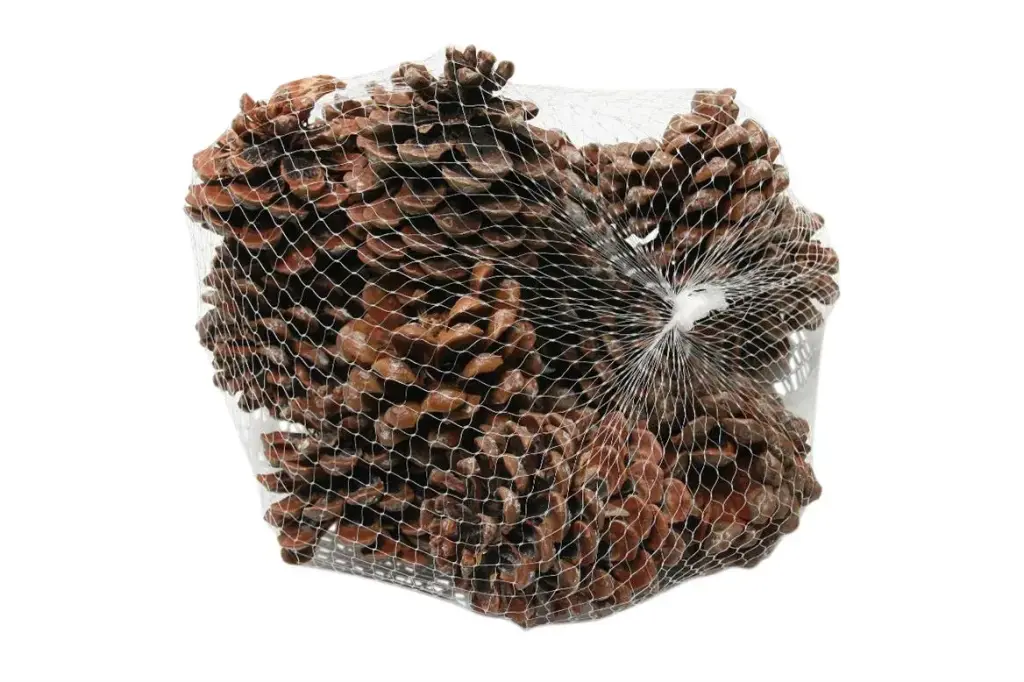 Pinecone Pinea 15 Pcs L9 Natural