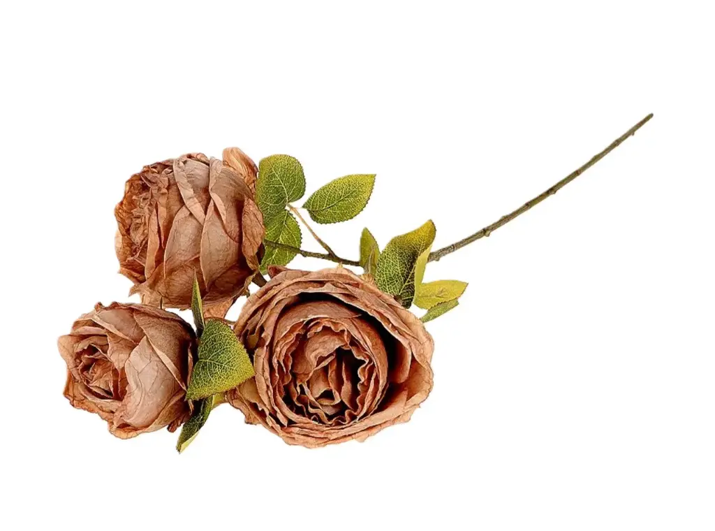 Branch Rosa Gallica L70 Brown