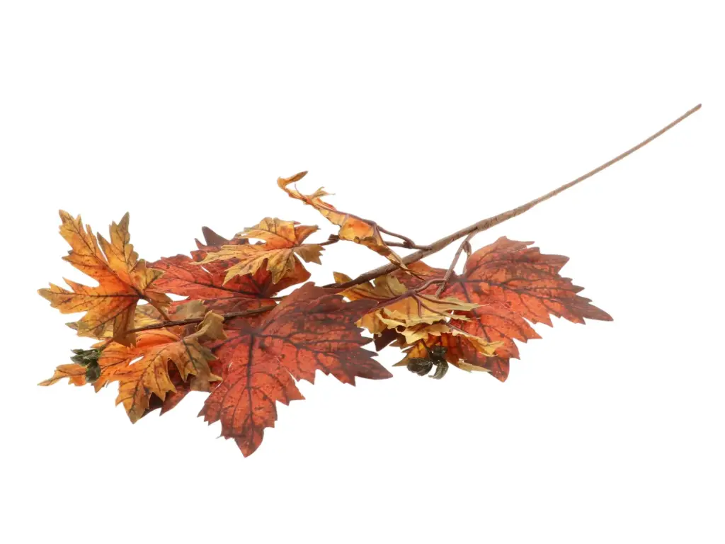 Stem Maple Leaf L73W30H2 Mixed Colours