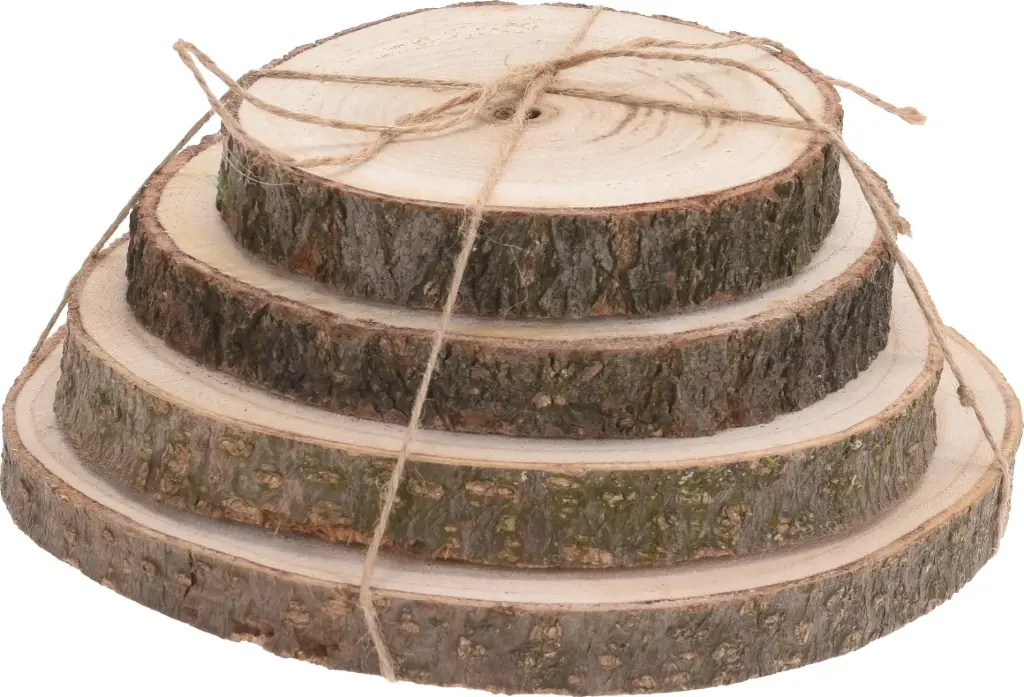WOODEN SLICE BARK 4PCS NATURAL