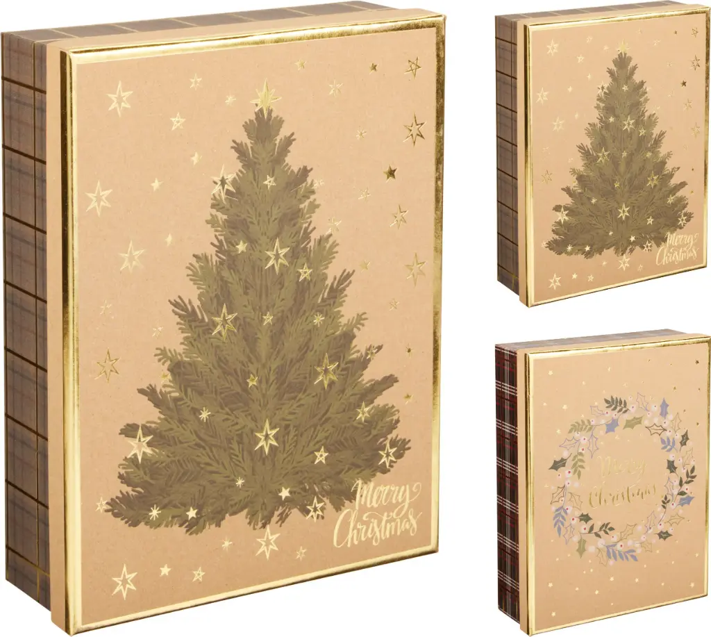 GIFTBOX CHRISTMAS 25CM 2ASS D