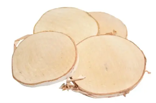 [100594000] Slice Birch 200g D9 Wood