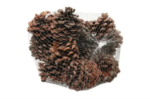 [109079000] Pinecone Pinea 15 Pcs L9 Natural