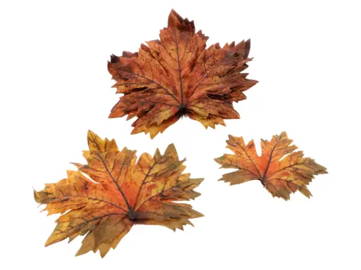 [862646589] Maple Leaf Mixed 12 Pcs L18W18H3 Mixed Colours
